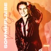 Vincent Gross - Sommerliebe